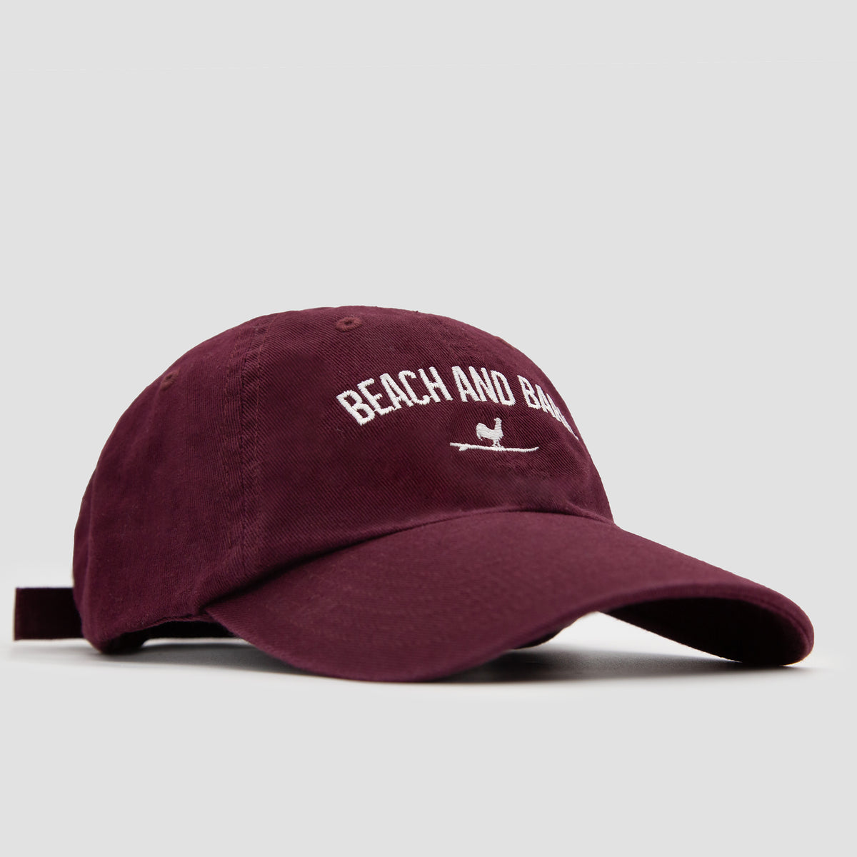 Nomadic Homebody Dad Hat