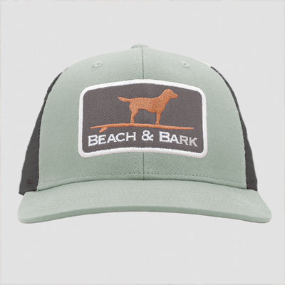 Beach & Bark Snapback